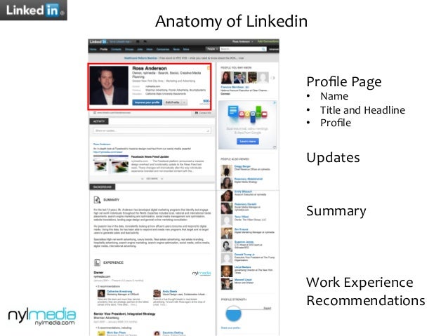 12 anatomy of linkedin prole