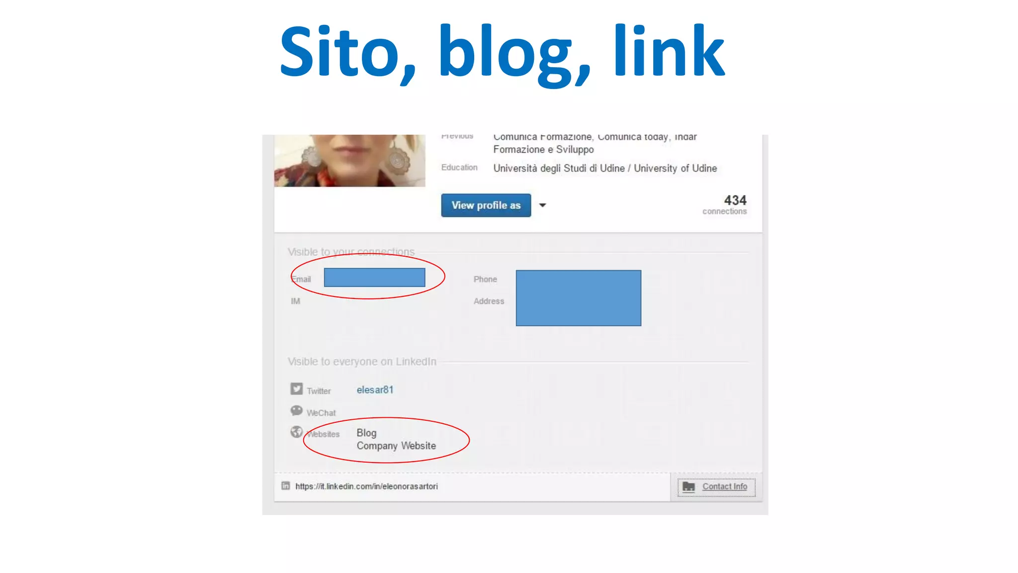 Sito, blog, link
 