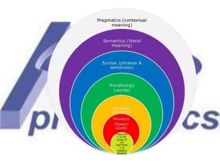 Semantic and Pragmatic