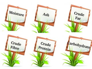 Moisture Ash
Crude
Fat
Crude
Fibre
Crude
Protein
Carbohydrate
 