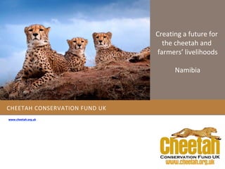 CHEETAH CONSERVATION FUND UK
www.cheetah.org.uk
Creating a future for
the cheetah and
farmers’ livelihoods
Namibia
 