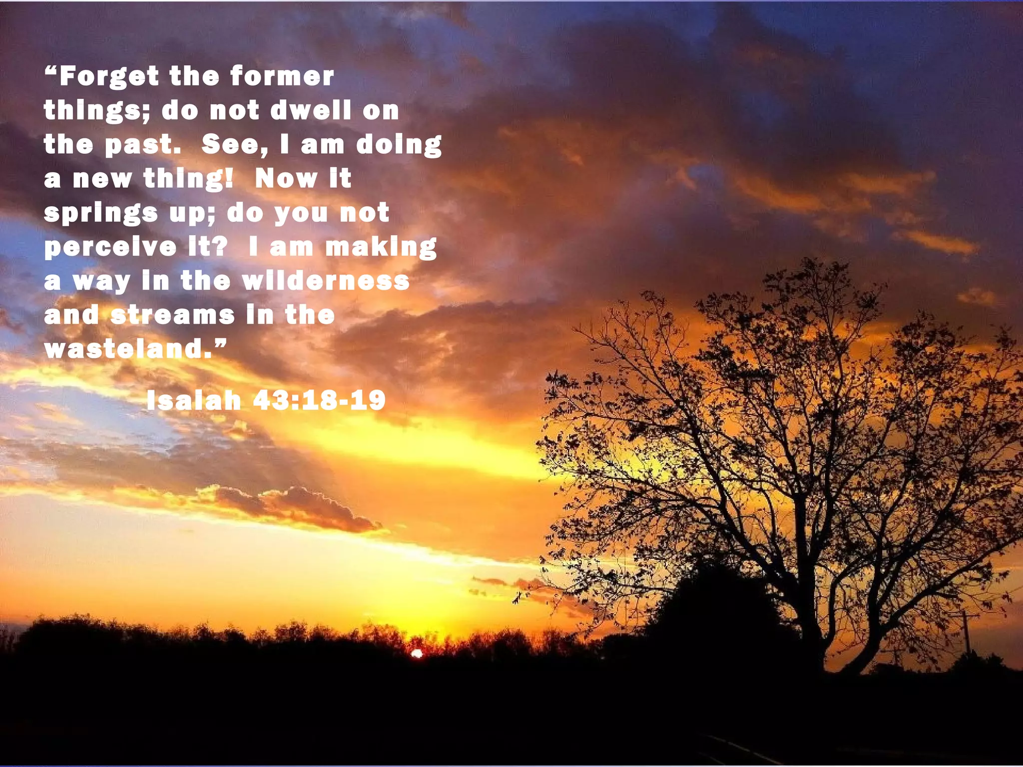 “Forget the former
things; do not dwell on
the past. See, I am doing
a new thing! Now it
springs up; do you not
perceive it? I am making
a way in the wilderness
and streams in the
wasteland.”
      Isaiah 43:18-19
 
