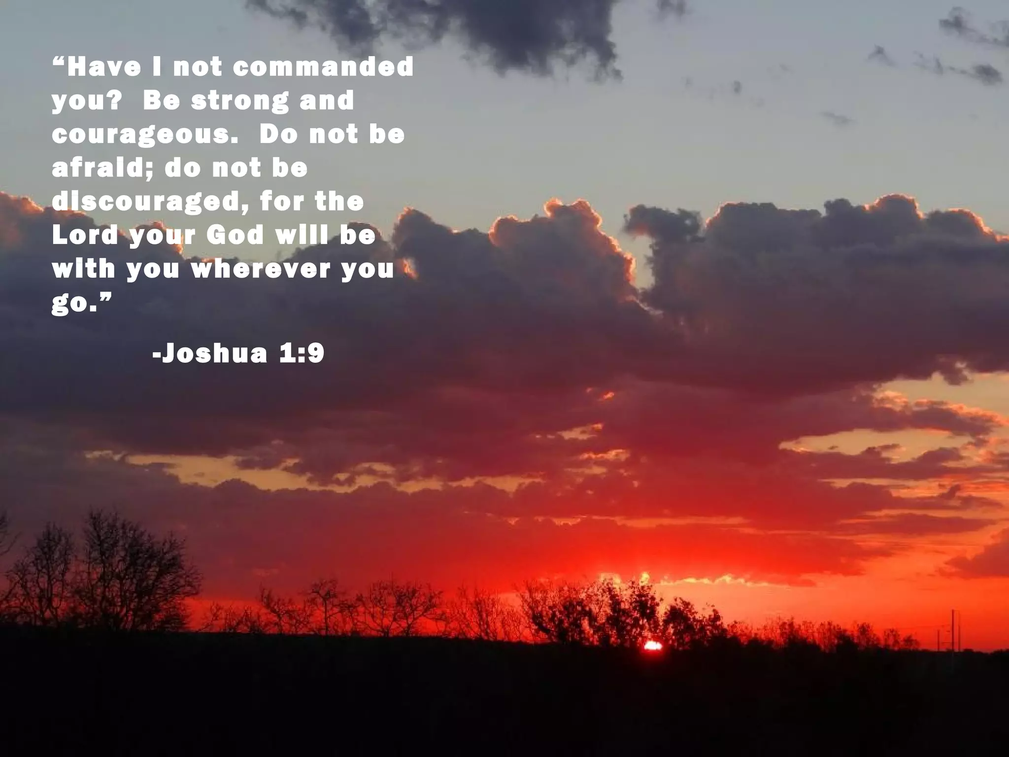 “Have I not commanded
you? Be strong and
courageous. Do not be
afraid; do not be
discouraged, for the
Lord your God will be
with you wherever you
go.”
     -Joshua 1:9
 