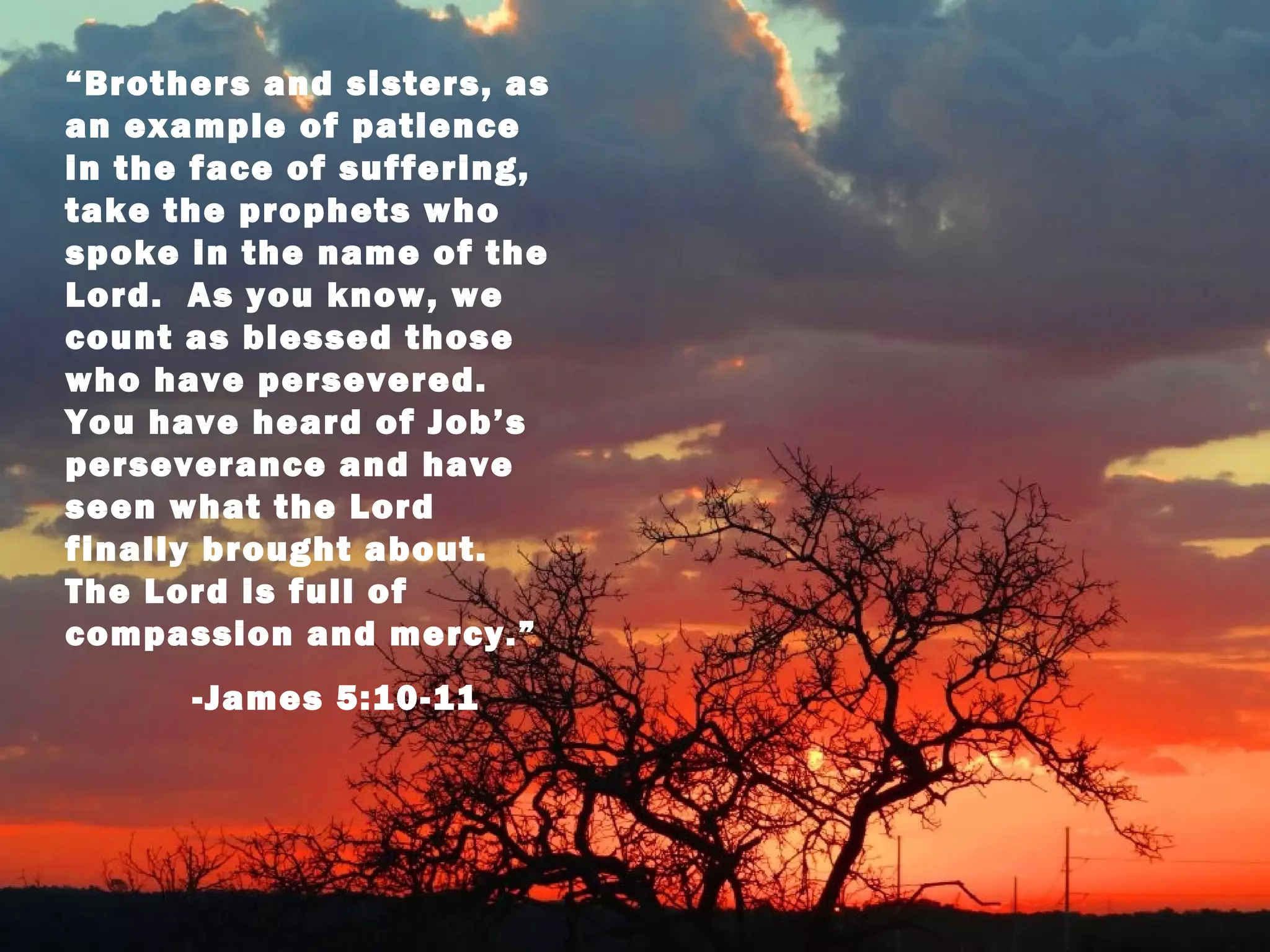 “Brothers and sisters, as
an example of patience
in the face of suffering,
take the prophets who
spoke in the name of the
Lord. As you know, we
count as blessed those
who have persevered.
You have heard of Job’s
perseverance and have
seen what the Lord
finally brought about.
The Lord is full of
compassion and mercy.”
      -James 5:10-11
 
