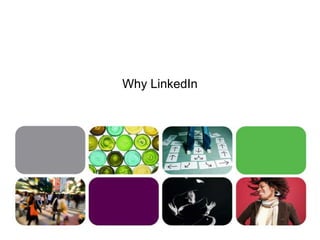 Why LinkedIn
 