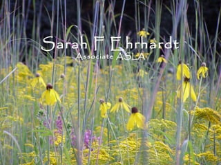 Sarah F Ehrhardt
Associate ASLA
 