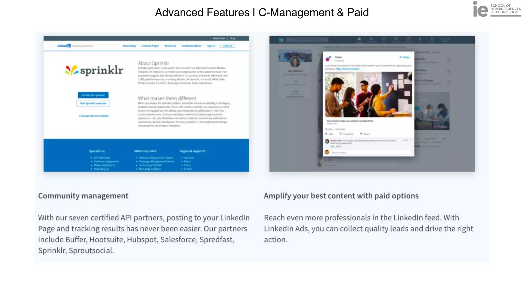 Advanced Features | C-Management & Paid
 