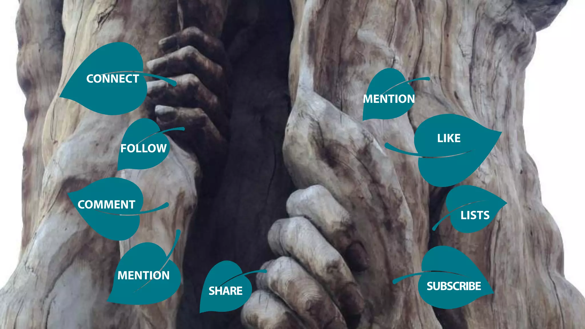 CONNECT
COMMENT
FOLLOW
MENTION
LIKE
LISTS
SUBSCRIBE
MENTION
SHARE
 