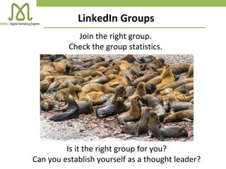 LinkedIn Groups
Join the right group.
Check the group statistics.
Is it the right group for you?
Can you establish yourself as a thought leader?
 