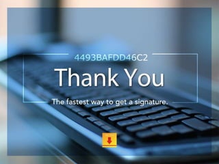 End Client Experience