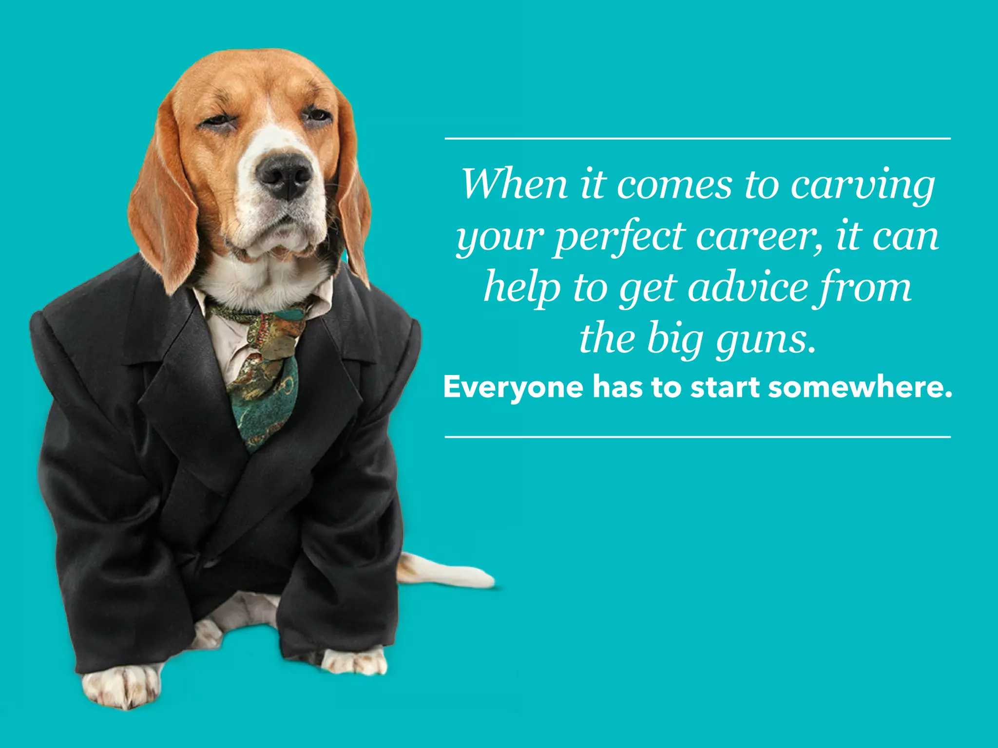 When it comes to carving
your perfect career, it can
help to get advice from
the big guns.
Everyone has to start somewhere.
 