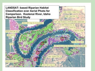 LANDSAT- based Riparian Habitat Classification over Aerial Photo for Comparison.  Kootenai River, Idaho Riparian Bird Study 