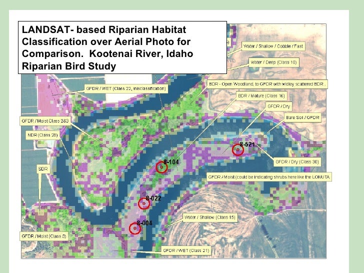 examples of gis