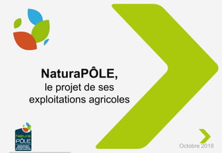 NaturaPÔLE,
le projet de ses
exploitations agricoles
Octobre 2018
 