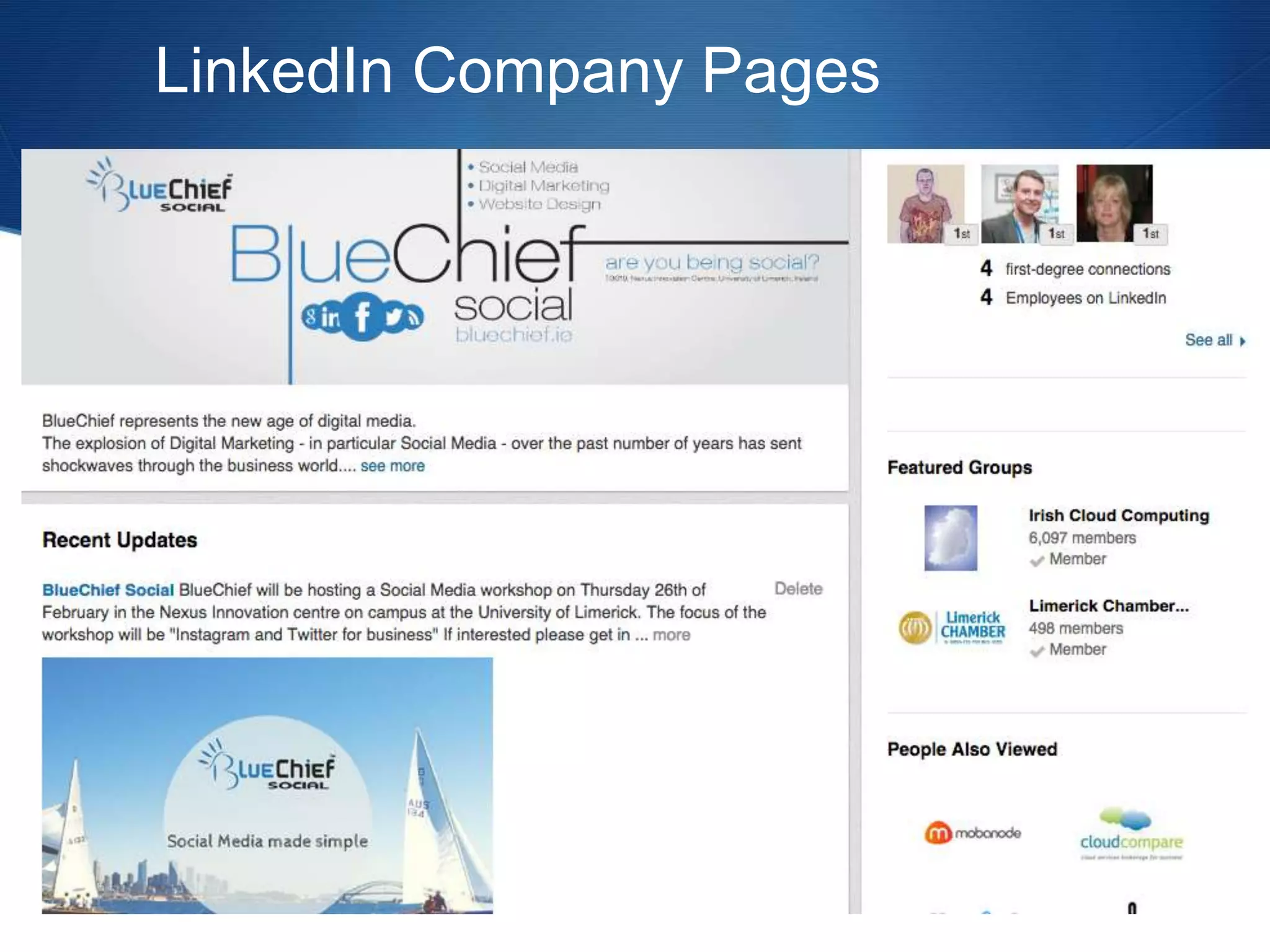LinkedIn Company Pages
 