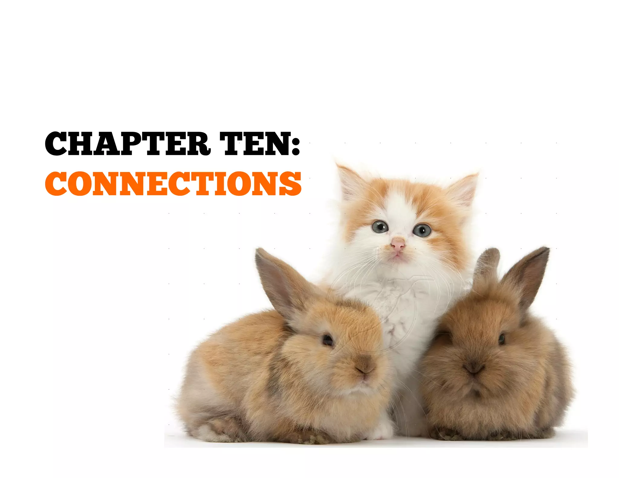 CHAPTER TEN:
CONNECTIONS

 