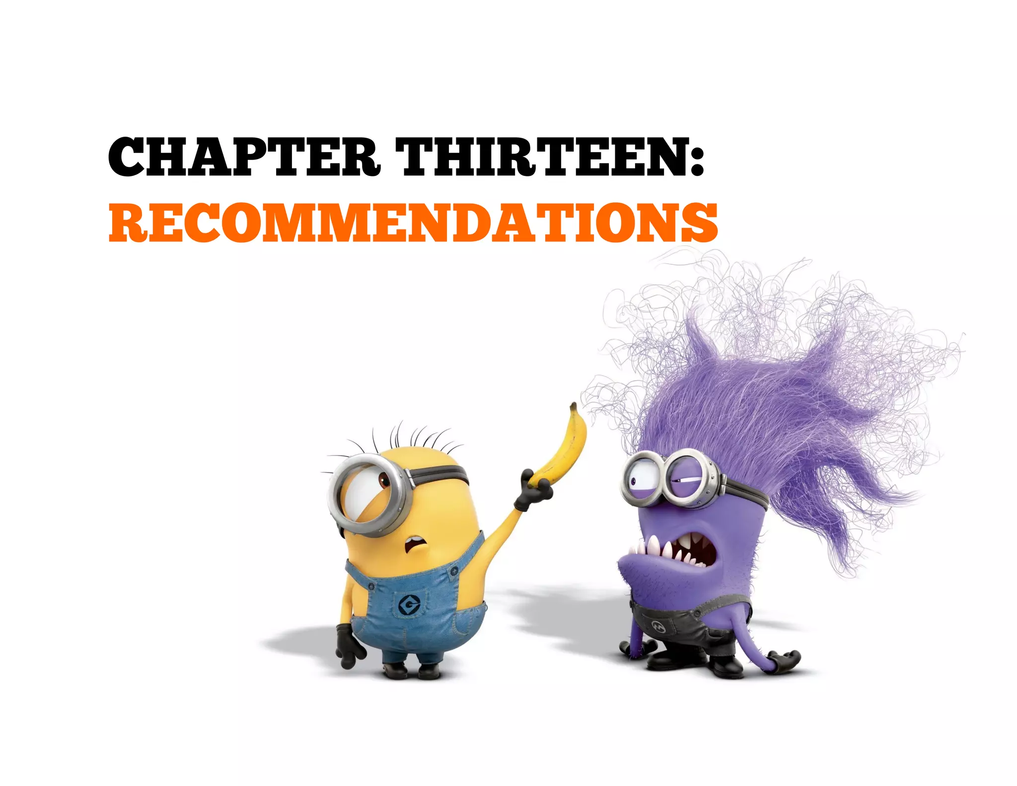 CHAPTER THIRTEEN:
RECOMMENDATIONS

 
