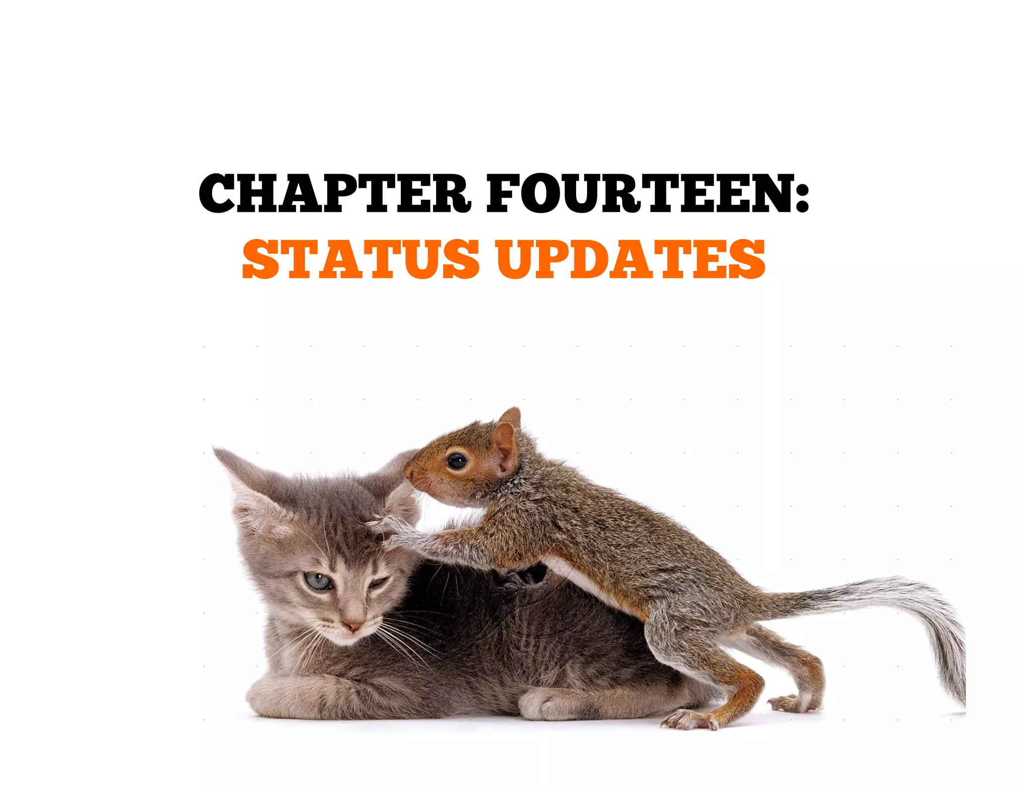 CHAPTER FOURTEEN:
STATUS UPDATES

 