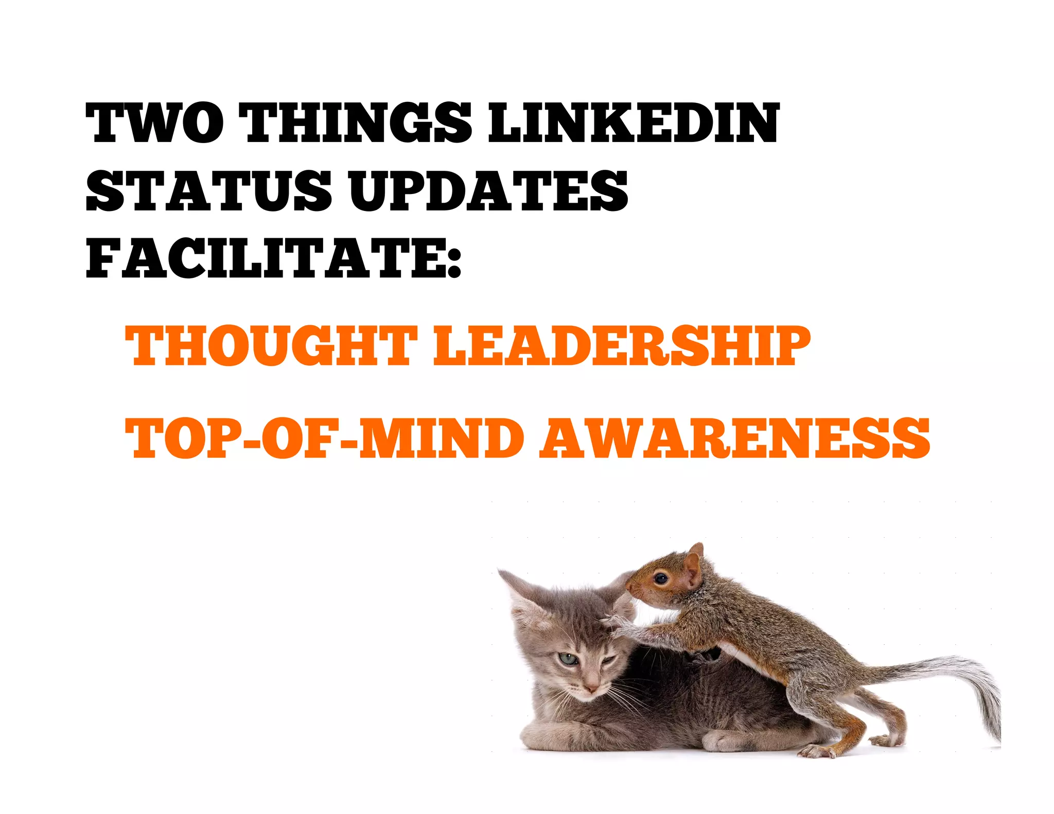 TWO THINGS LINKEDIN
STATUS UPDATES
FACILITATE:
THOUGHT LEADERSHIP
TOP-OF-MIND AWARENESS

 