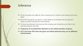 Inference
 If the two genes are really far, then crossing over is random and cutting can be any
place.
 But if the two genes are closer, it is less likely to cut between the two genes in
order to create recombinant chromosome.
 To have recombinant chromosome the crossing over should be such that it cuts
the chromosome into half.
 Frequency of recombination depends on the relative position of genes.
 If it is less than 50% then the genes are linked otherwise they are on different
chromosomes.
 