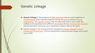 Genetic Linkage
 Genetic linkage is the tendency of DNA sequences that are close together on
a chromosome to be inherited together during the meiosis phase of sexual
reproduction. Two genetic markers that are physically near to each other are
unlikely to be separated onto different chromatids during chromosomal crossover,
and are therefore said to be more linked than markers that are far apart.
 Genetic linkage is the most prominent exception to Gregor Mendel's Law of
Independent Assortment. The first experiment to demonstrate linkage was carried
out in 1905.
 