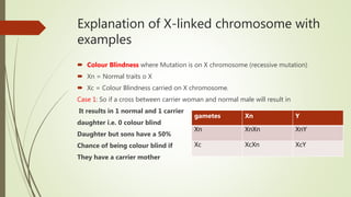 Explanation of X-linked chromosome with
examples
 Colour Blindness where Mutation is on X chromosome (recessive mutation)
 Xn = Normal traits o X
 Xc = Colour Blindness carried on X chromosome.
Case 1: So if a cross between carrier woman and normal male will result in
It results in 1 normal and 1 carrier
daughter i.e. 0 colour blind
Daughter but sons have a 50%
Chance of being colour blind if
They have a carrier mother
gametes Xn Y
Xn XnXn XnY
Xc XcXn XcY
 