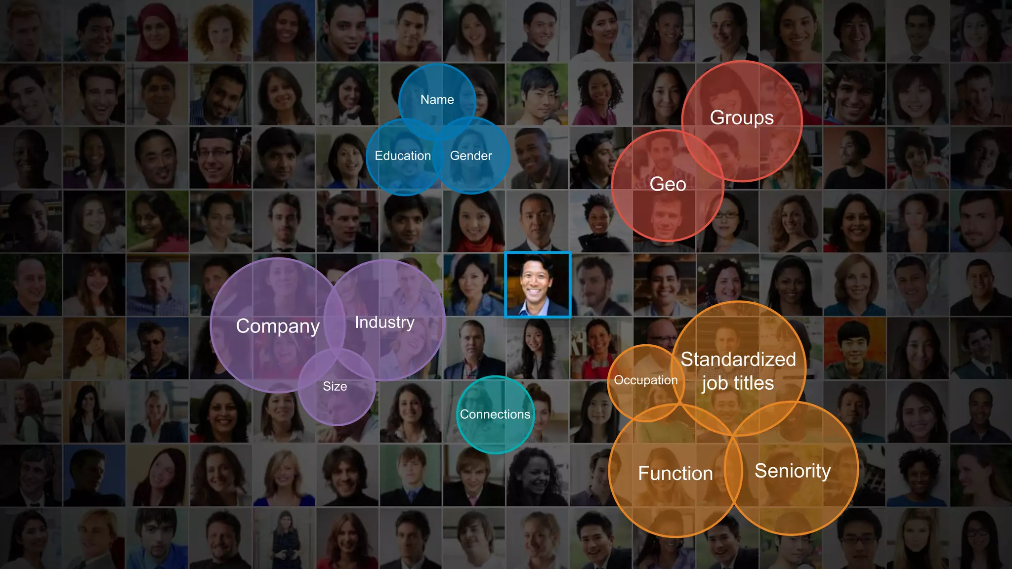 Connections
Company Industry
Size
Name
GenderEducation
Geo
Groups
Standardized
job titles
SeniorityFunction
Occupation
 