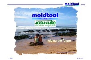 moldtool
              tools and more




A. Veloso            1         24. 06. 2010
 