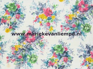 www.mariekevanliempd.nl
 