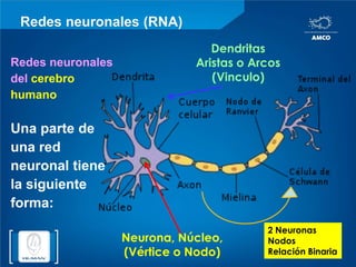 Redes neuronales (RNA)DendritasAristas o Arcos(Vinculo)Redes neuronales del cerebro humanoUna parte de una red neuronal tiene la siguiente forma:2 NeuronasNodosRelación BinariaNeurona, Núcleo, (Vértice o Nodo) 