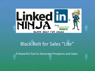 Black Belt for Sales “Lite” A Powerful Tool to Generate Prospects and Sales 