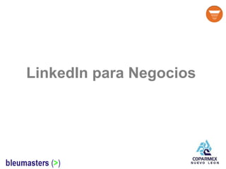 LinkedIn para Negocios
 
