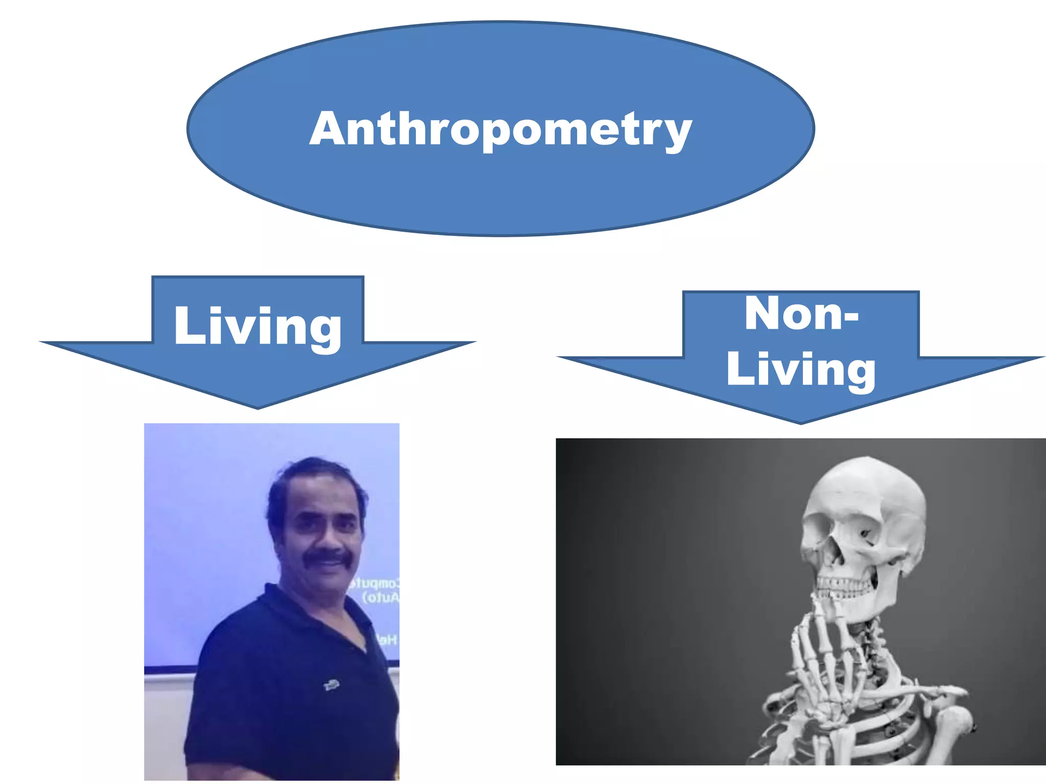 Anthropometry
Living Non-
Living
 