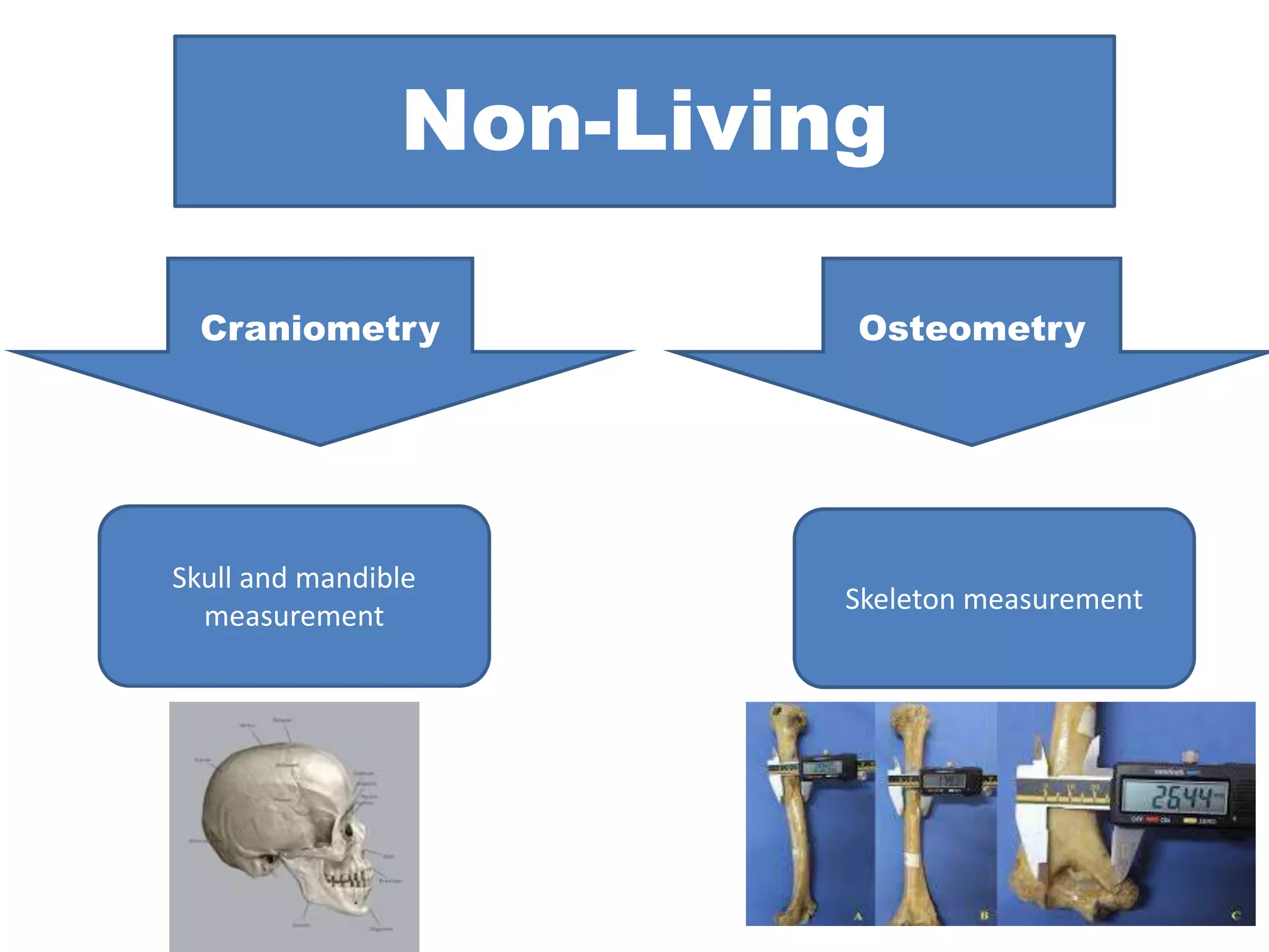 Non-Living
Craniometry Osteometry
Skeleton measurement
Skull and mandible
measurement
 
