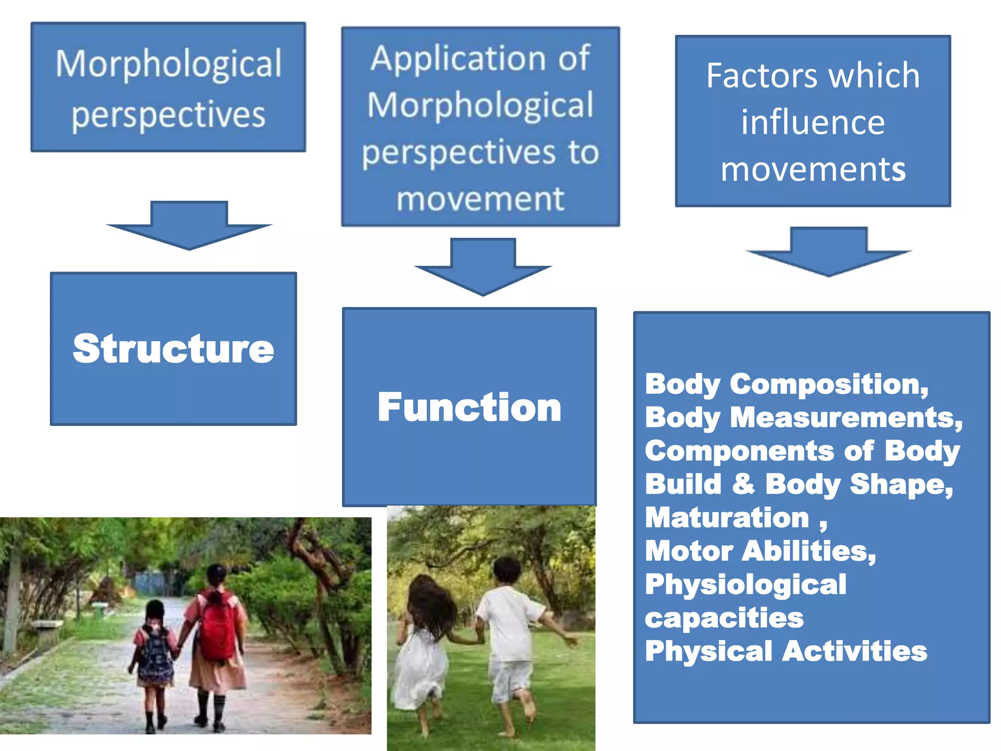 Factors which
influence
movements
Body Composition,
Body Measurements,
Components of Body
Build & Body Shape,
Maturation ,
Motor Abilities,
Physiological
capacities
Physical Activities
Structure
Function
 