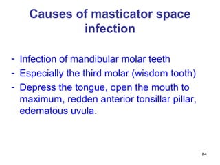 84
Causes of masticator space
infection
- Infection of mandibular molar teeth
- Especially the third molar (wisdom tooth)
- Depress the tongue, open the mouth to
maximum, redden anterior tonsillar pillar,
edematous uvula.
 