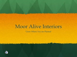 Moor Alive Interiors ‘Grow Where You are Planted’ 