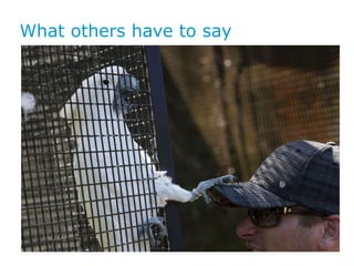 What others have to say 