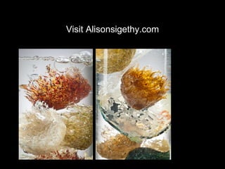 Visit Alisonsigethy.com 