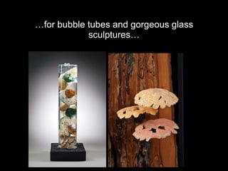 … for bubble tubes and gorgeous glass sculptures… 
