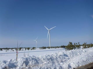 Rope Access and Rescue