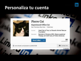 Personaliza tu cuenta
 