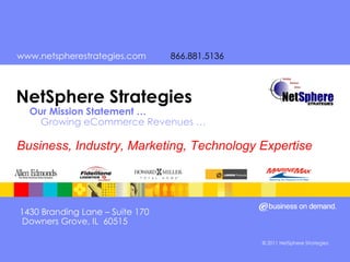 NetSphere Strategies   Our Mission Statement …    Growing eCommerce Revenues … Business, Industry, Marketing, Technology Expertise 