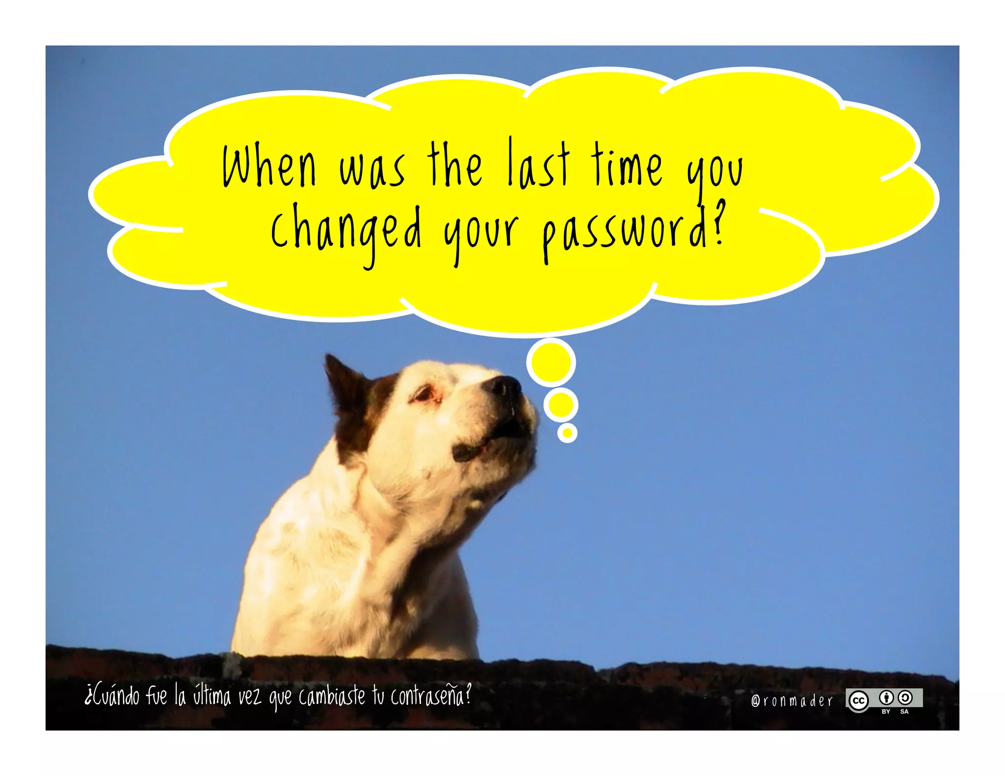 Upgrade (!)
your world
by making
the most of
old-school
allies
and the
expanding
universe of
the social web.
You
Twitter
Facebook
Flickr
GooglePlaneta
YouTube
Wiki
2 0 1 6
 