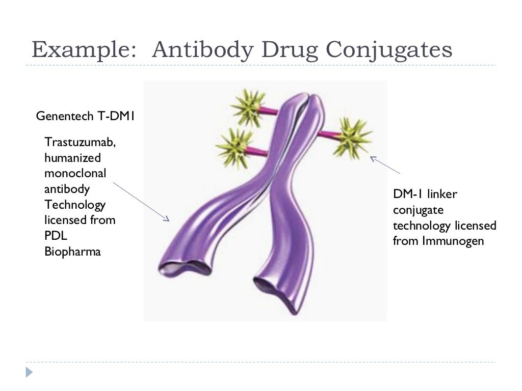 Example Antibody Drug Conjugates Genentech