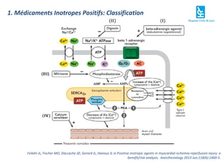 Inotropes Classification Inotropes et Vasopresseurs | PPT