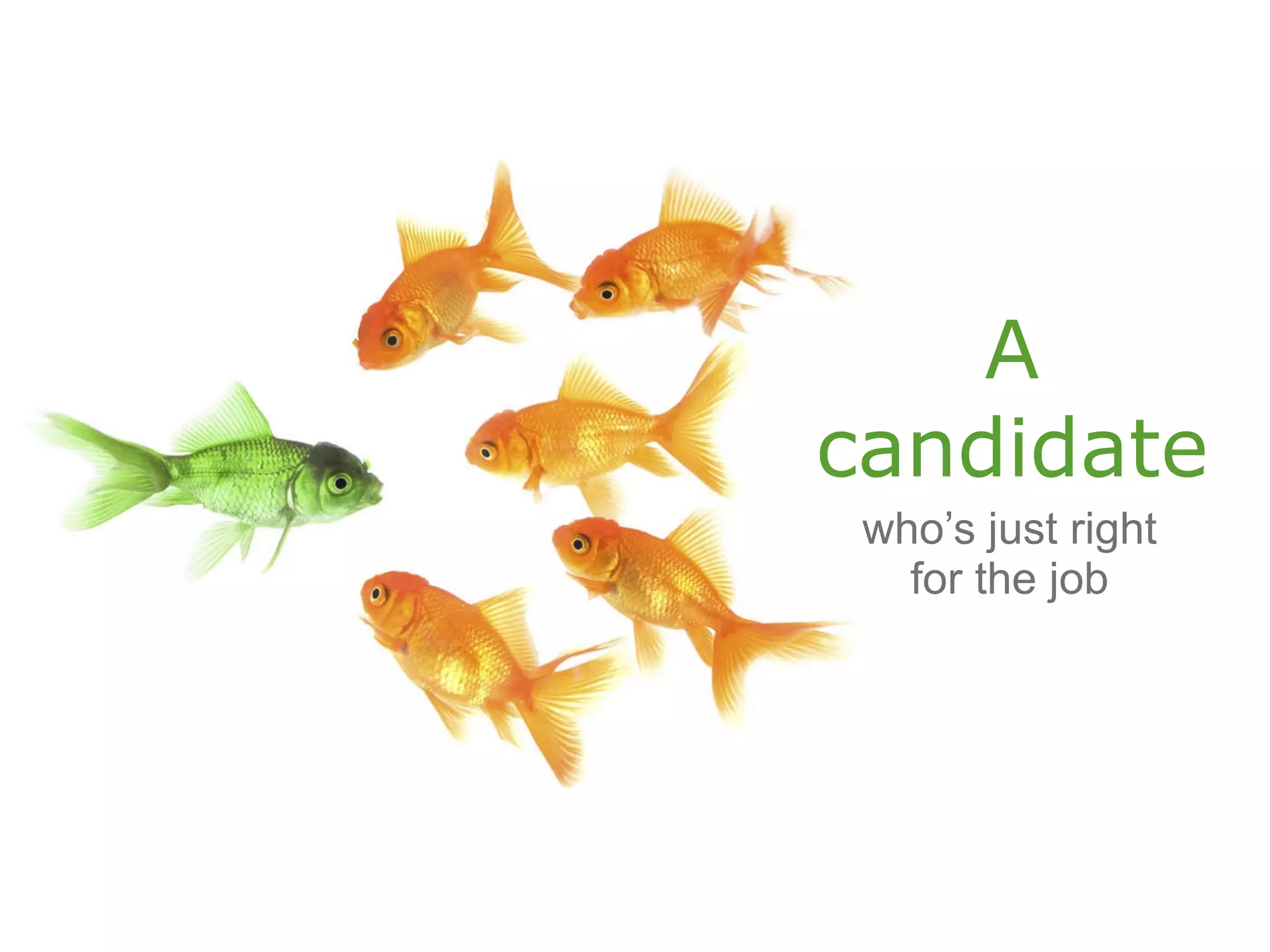 A candidate who’s just right for the job 