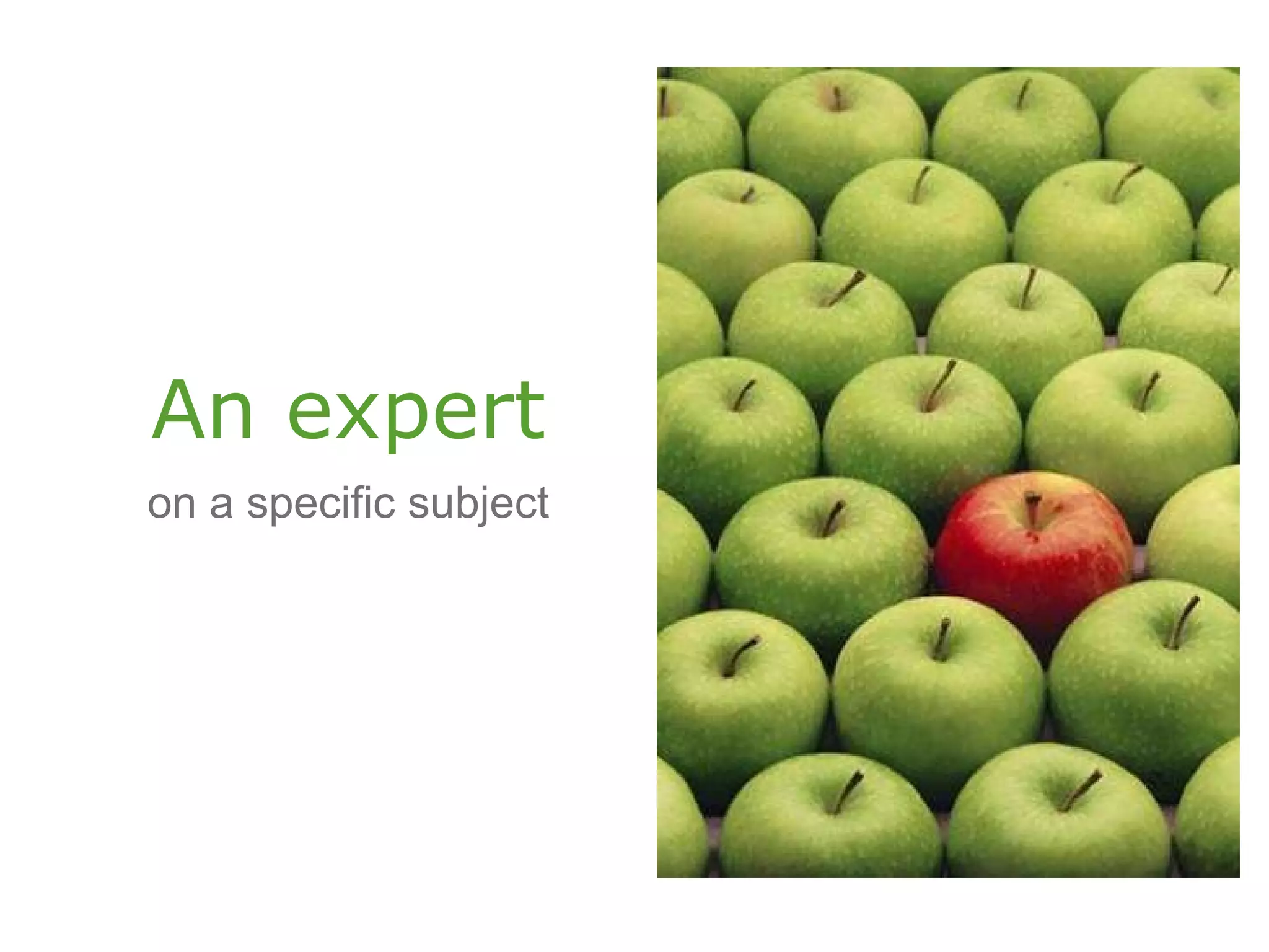 An expert on a specific subject 