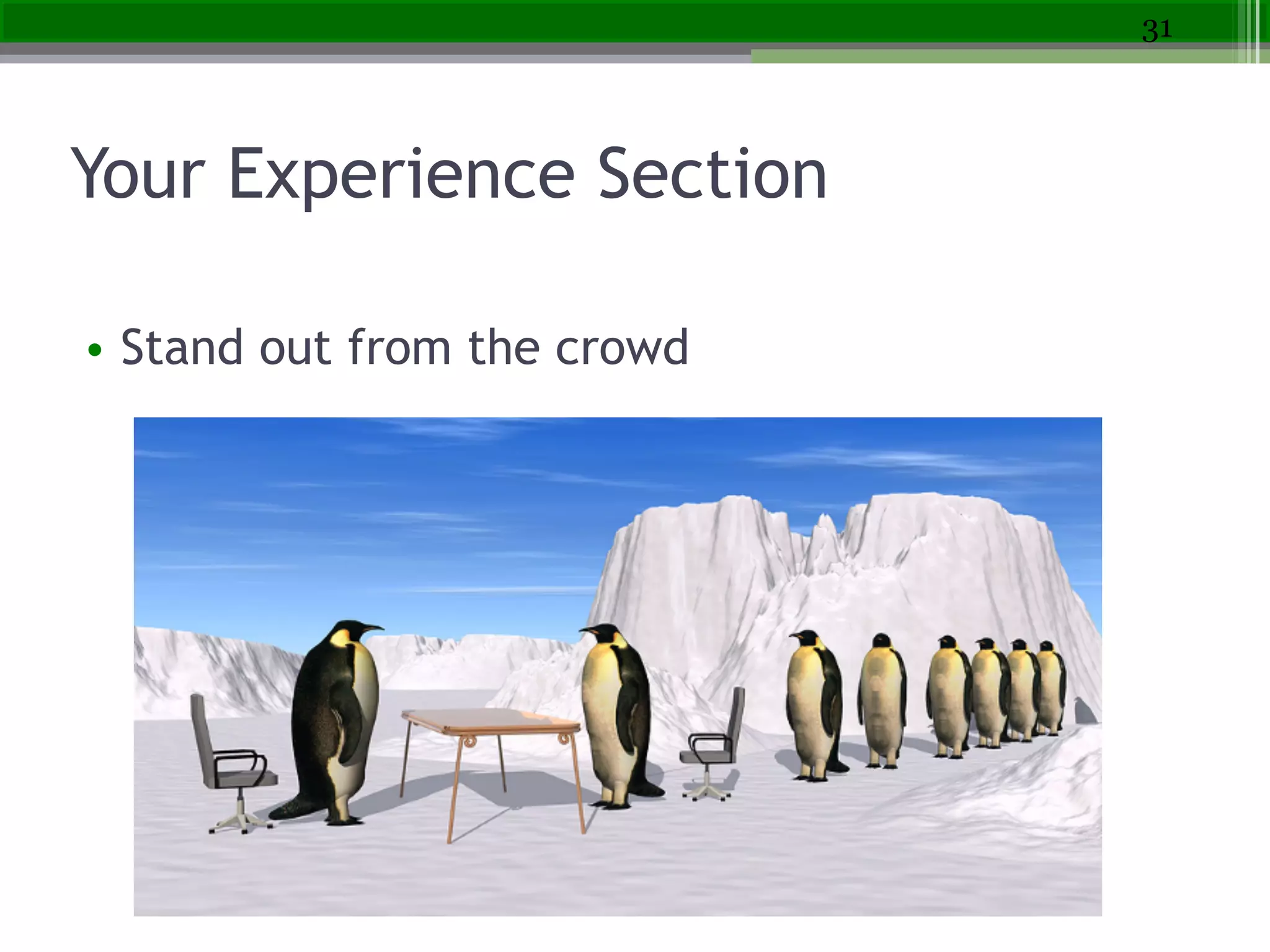 Your Experience Section
• Stand out from the crowd
31
 
