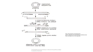 Presentation on Linkers &Adapters used in rDNA Technology | PPTX